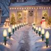30Ft C9 Led 20 Bulbs Christmas Pathway Lights Outdoor