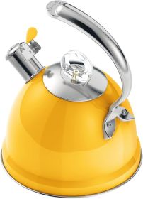 Tea Kettle Stovetop, 2.5 QT Whistling Stainless Steel Teapot, 3-Layer Base, Unique Ergonomic Handle, Includes Pot Holder & Mat