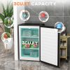 Compact Upright Freezer 3 Cu Ft with Adjustable Thermostat, Reversible Door, Silver