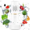 Fruit and Vegetable Purifier Cleaner Washing Machine Capsule Shape Disinfection OH-ion Purification Technology for Cleaning Veggie Grains Rice Meat Se